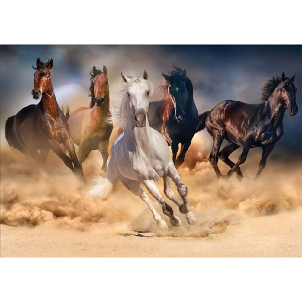 KS 20769 1000 PÇS Wild Horses 48X68