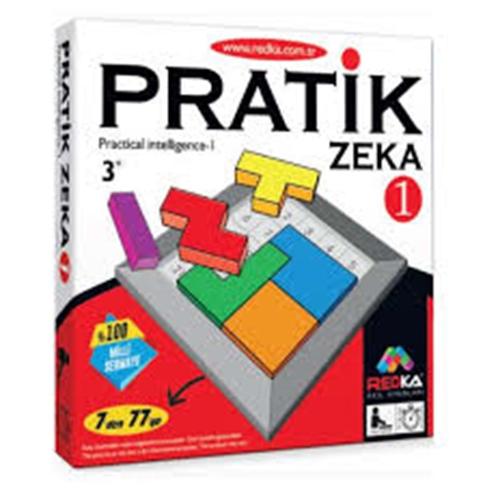 REDKA RD5313 PRATİC ZEKA