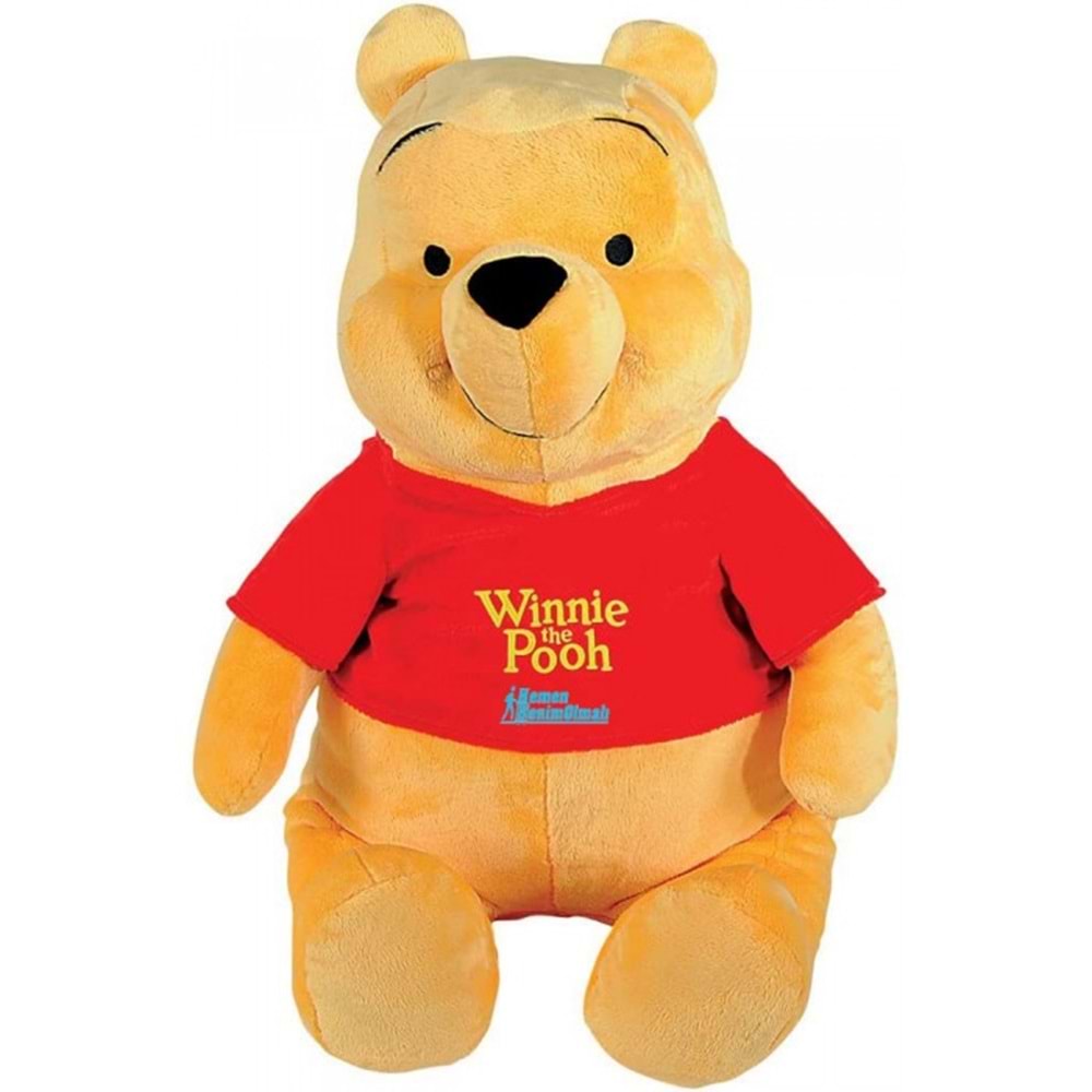TAHA 19700 POOH WİNİDİ 80 CM