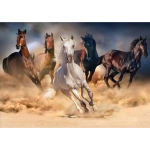 KS 20769 1000 PÇS Wild Horses 48X68