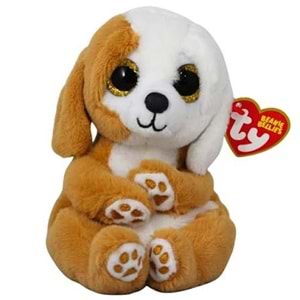 MEGA 150079TY40699 RUGGLES - DOG BWN/WHT REG