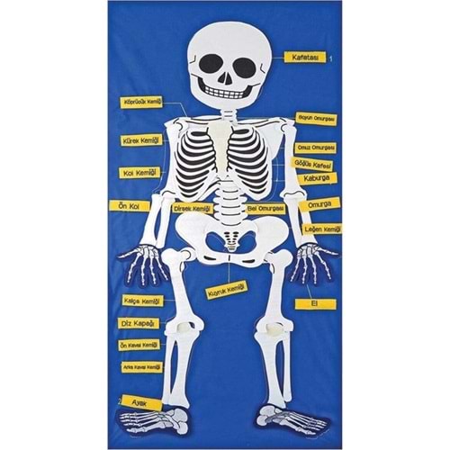 ANADOLU 9150 CIRTLI İSKELET PANO 5119