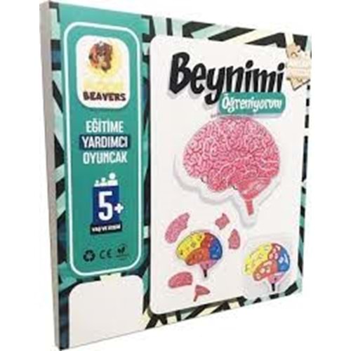 MOONBEAVERS BEYNİMİ ÖĞRENİYORUM