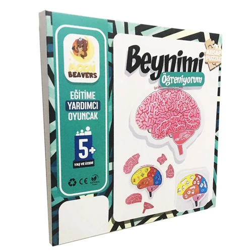 MOONBEAVERS BEYNİMİ ÖĞRENİYORUM