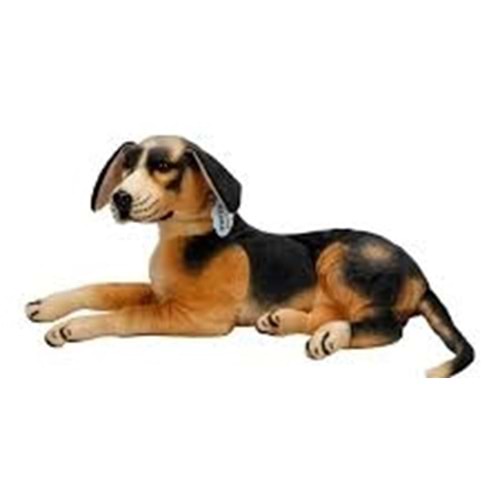 01413 SUN-WEH PEL.KÖPEK BEAGLE PFF-SK