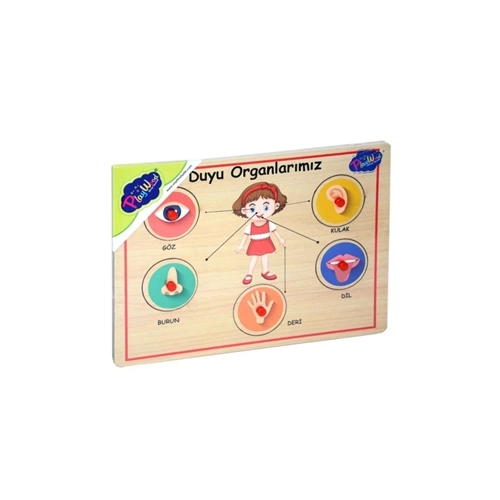 ONY-166/167 AHŞAP TUTMALI ORGANLAR