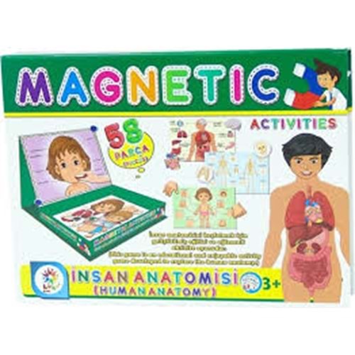 LAÇO 7171 MANYETİK AKTİVİTELER İNSAN ANATOMİSİNİ -LÇ
