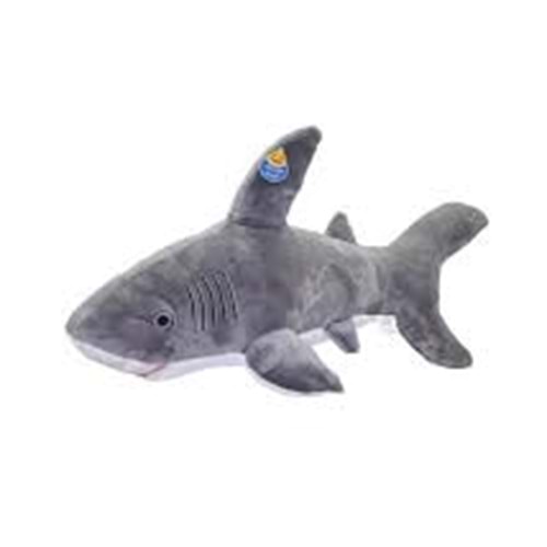 GRAN 41 KÖPEK BALIĞI