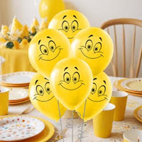 BLN BMB1112TGY7832 GÜLEN YÜZ BASKILI 12