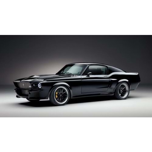 BARAN ADM 2119 MOKA ŞARJLI FORD MASTENG