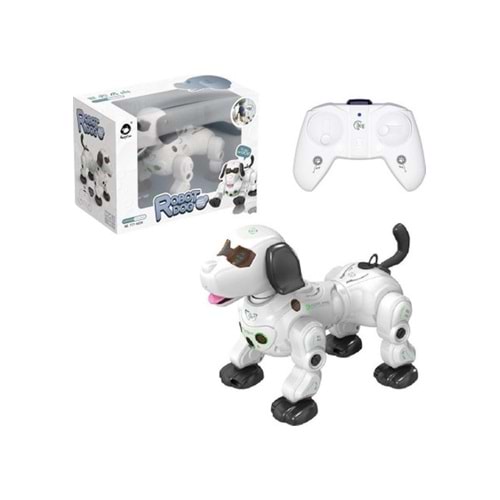 VARDEM GL-777-602A UK ISIKLI VE SESLI AKILLI ROBOT KOPEK