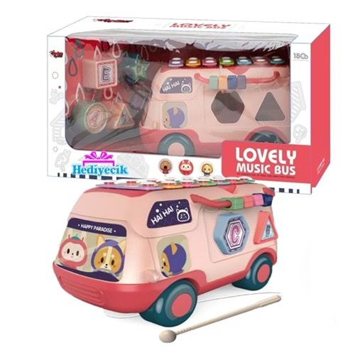 VARDEM RT980 EGITICI BUL TAK ,ISIKLI VE MUZIKLI OTOBUS