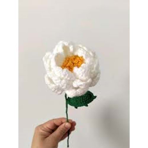 BİRLİK FL-5 ÖRGÜ ŞAKAYIK ÇİÇEK