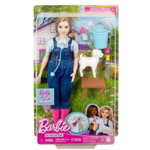 MATTEL JFX96 Malibu - Barbie Dream Besties Paten Partisi Malibu Bebek ve Aksesuarları