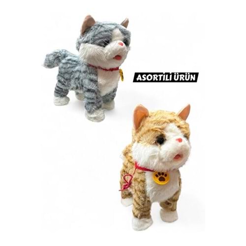 CAN STAR 2159 KUM ŞARJLI TASMALI KEDİ