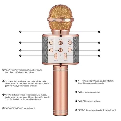 TOMURCUK WS-858 KARAOKE MİKROFON