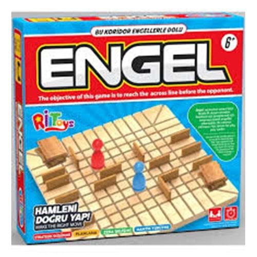 AHŞAP ENGEL ZEKA OYUNU