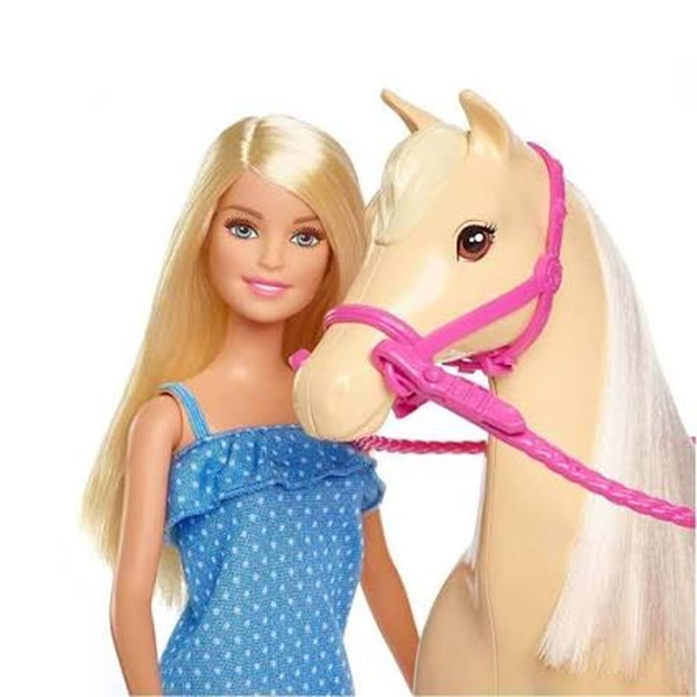 BARBİE FXH13 Barbie ve Güzel Atı Oyun Seti