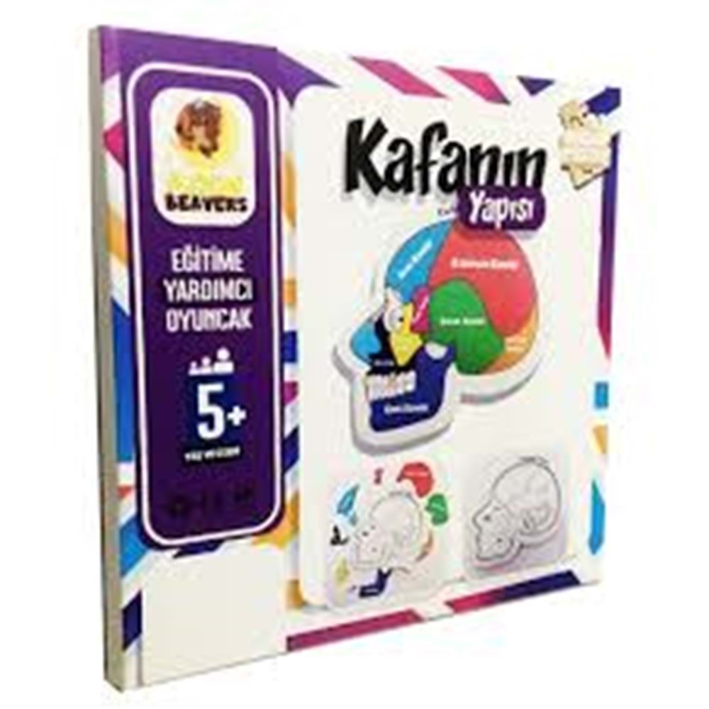 MOONBEAVERS KAFANIN YAPISI