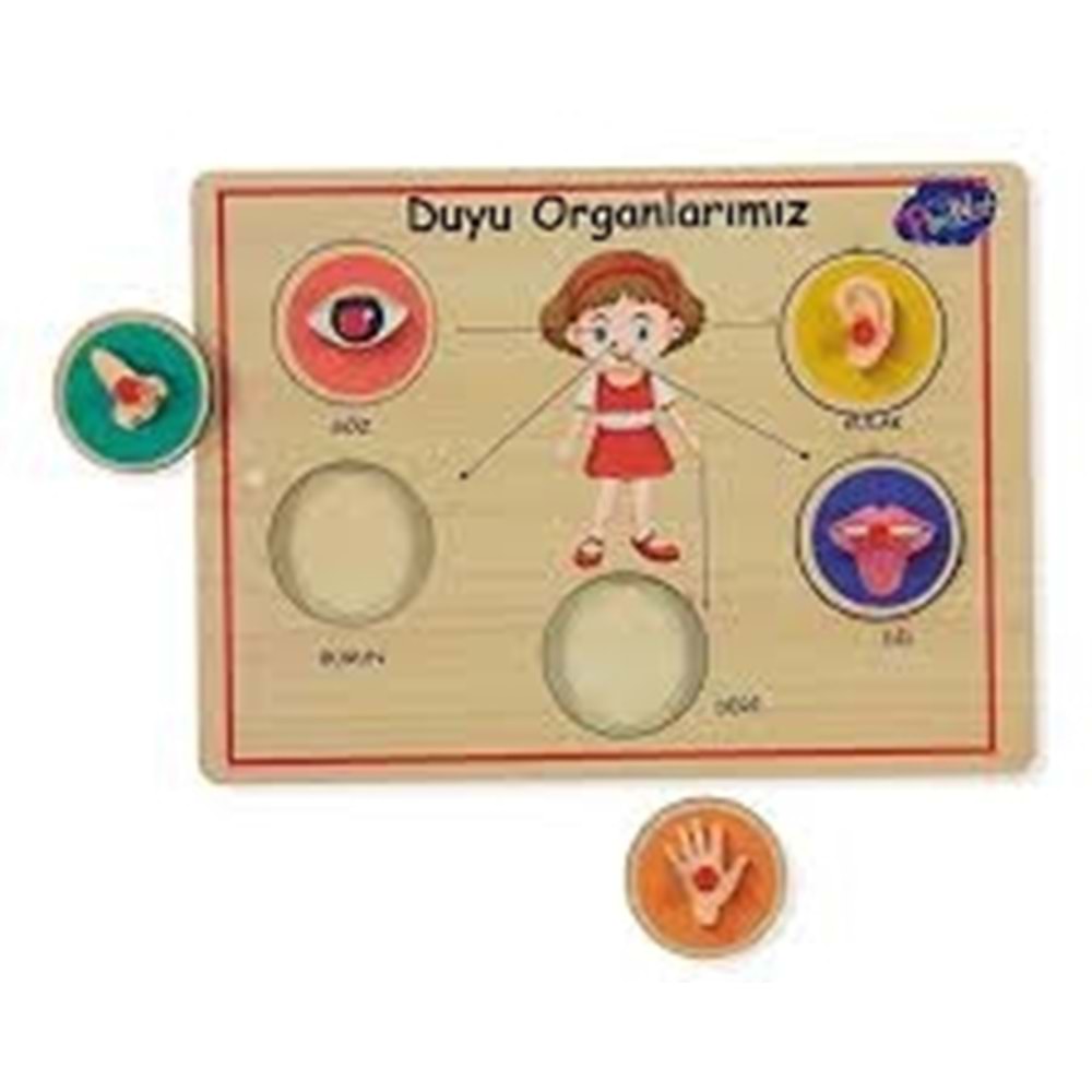 ONY-166/167 AHŞAP TUTMALI ORGANLAR