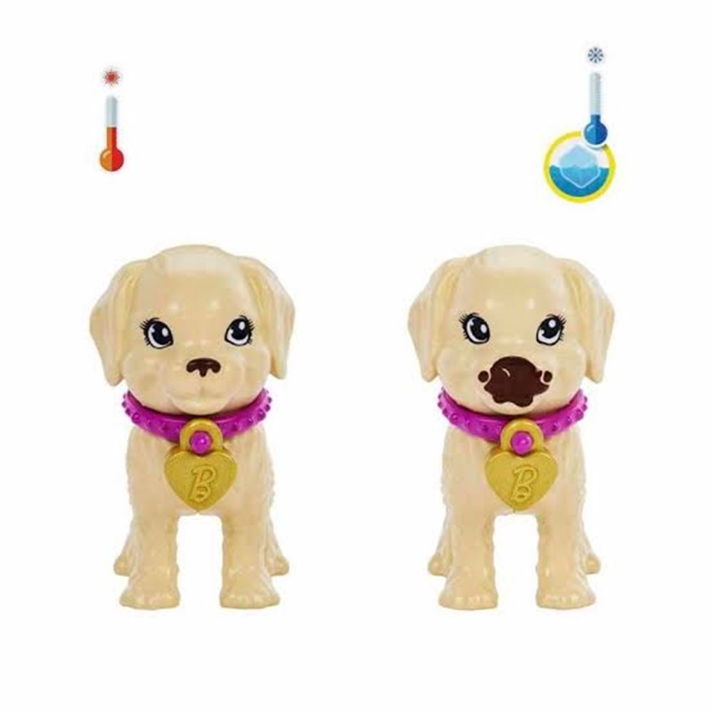 HKD86 Barbie ve Köpekçikleri Oyun Seti