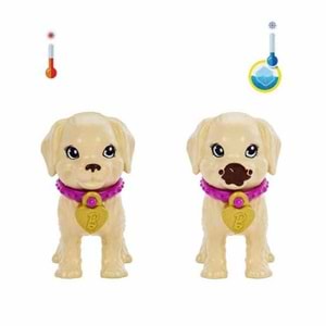 HKD86 Barbie ve Köpekçikleri Oyun Seti