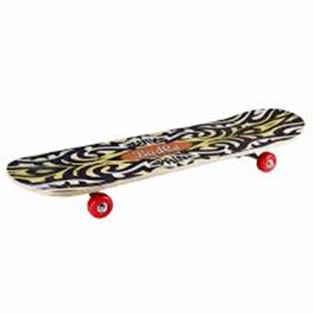 BİRLİK 23196 KAYKAY