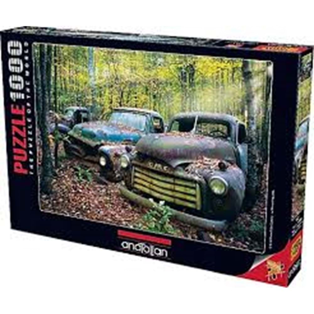 ANATOLİAN 1021 GEÇMİŞİN KALINTILARI PUZZLE