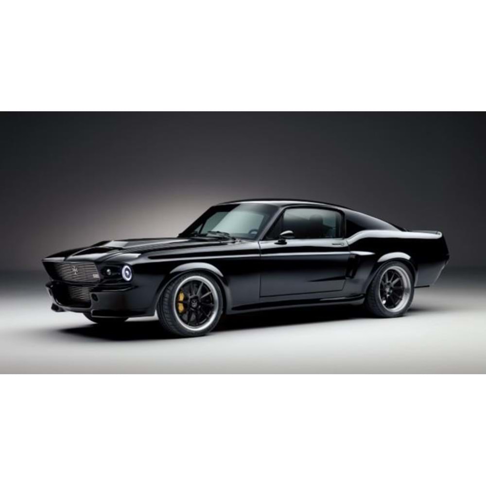 BARAN ADM 2119 MOKA ŞARJLI FORD MASTENG