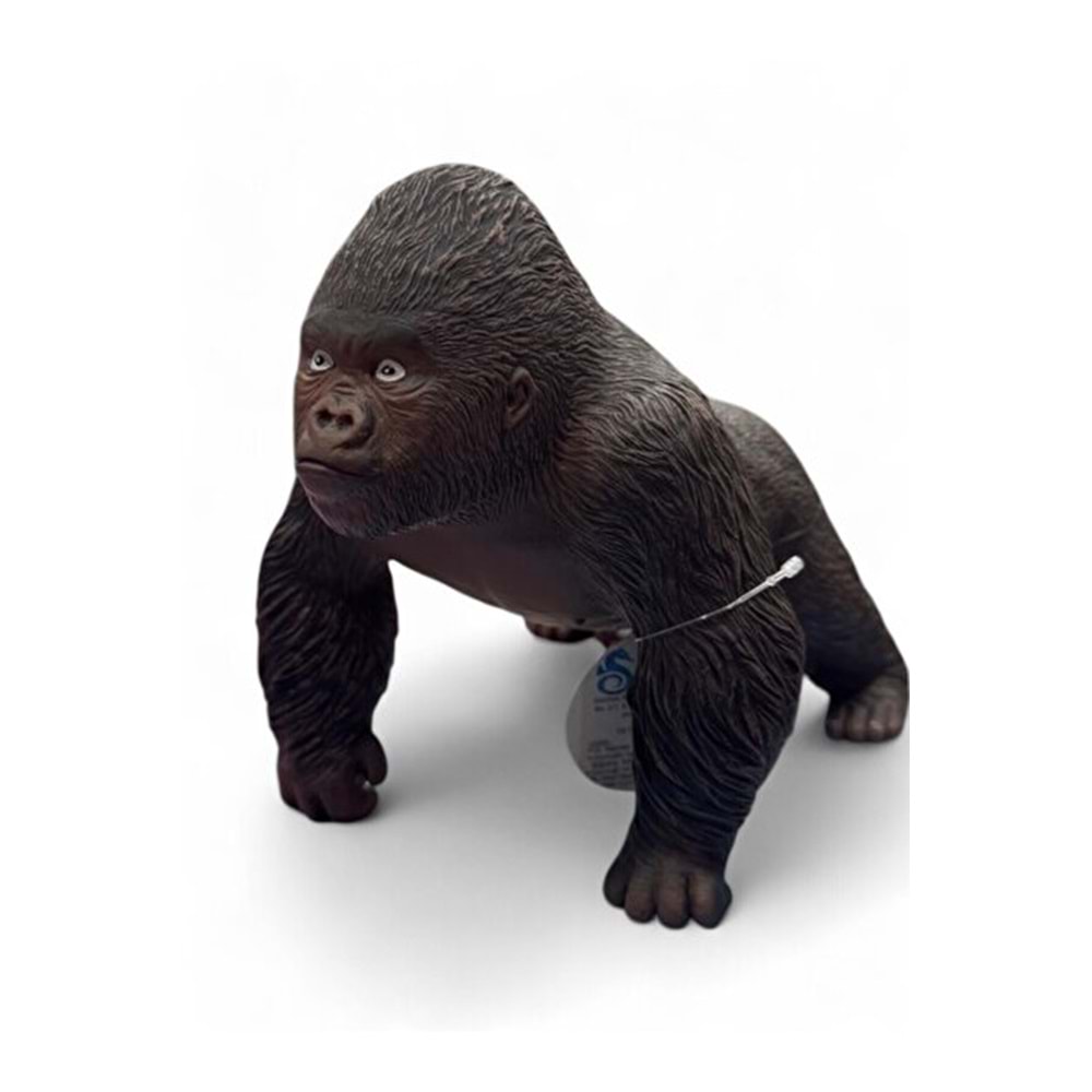 BARAN 023 ORJİNAL GORİL SERT