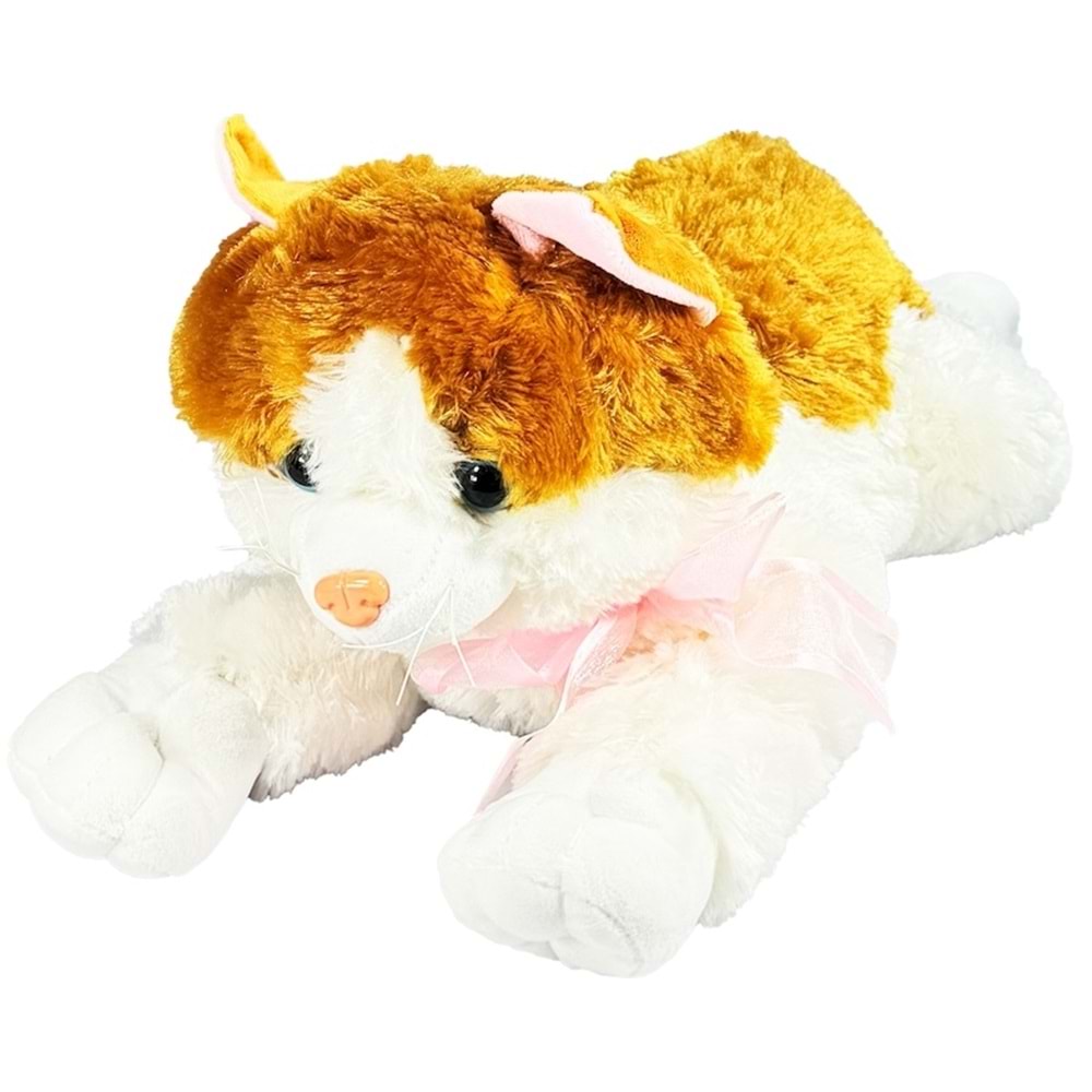 VARDEM PJH14318(46CM)30Pcs PELUS 46CM 4 ASORTI MUZIKLI KEDİ