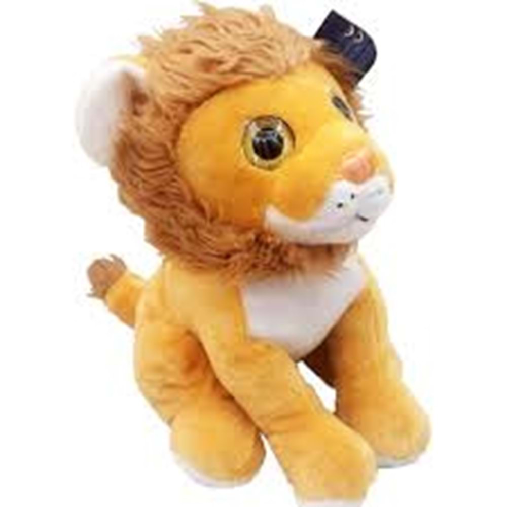 HALLEY PL62582 ASLAN KAPLAN