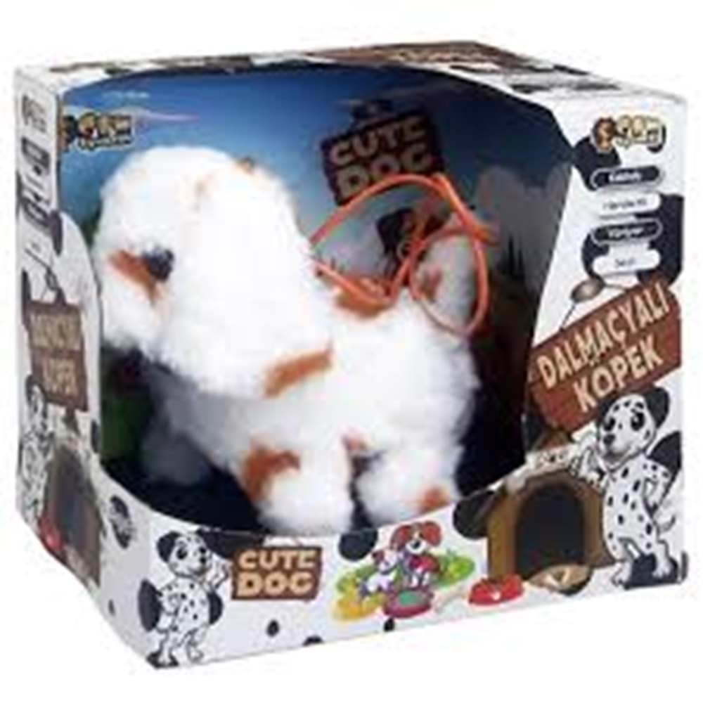 CAN 5190 DALMAÇYALI KÖPEK