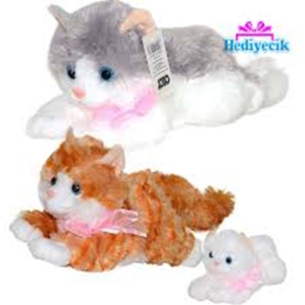 AKKUZU -14522 SESLİ KEDİ