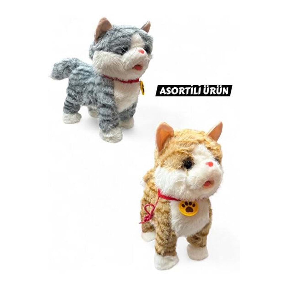 CAN STAR 2159 KUM ŞARJLI TASMALI KEDİ