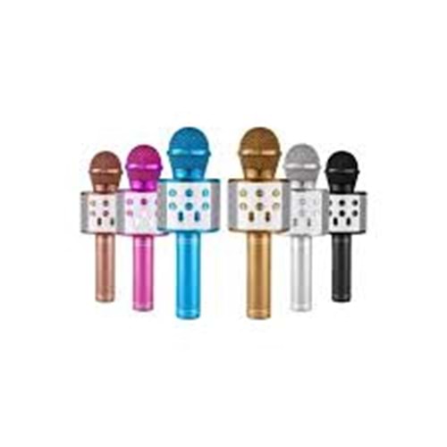 TOMURCUK WS-858 KARAOKE MİKROFON